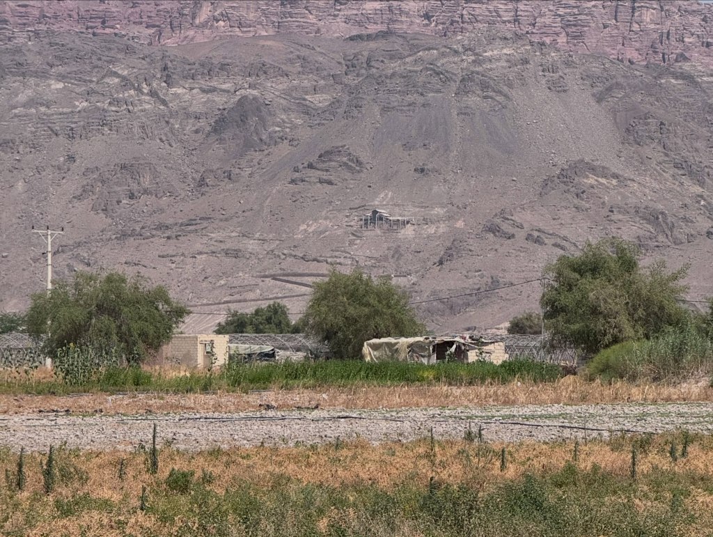 The site